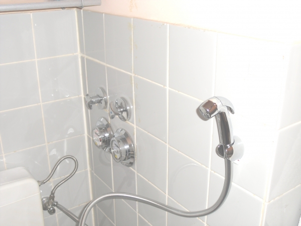 Handbrause für Intimdusche mit Wandhalterung - Anschluss an Wassertank